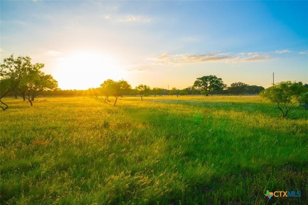 10.83 acres in Blanco County - photo 6