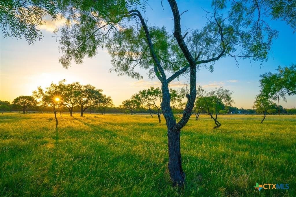 10.83 acres in Blanco County - photo 4