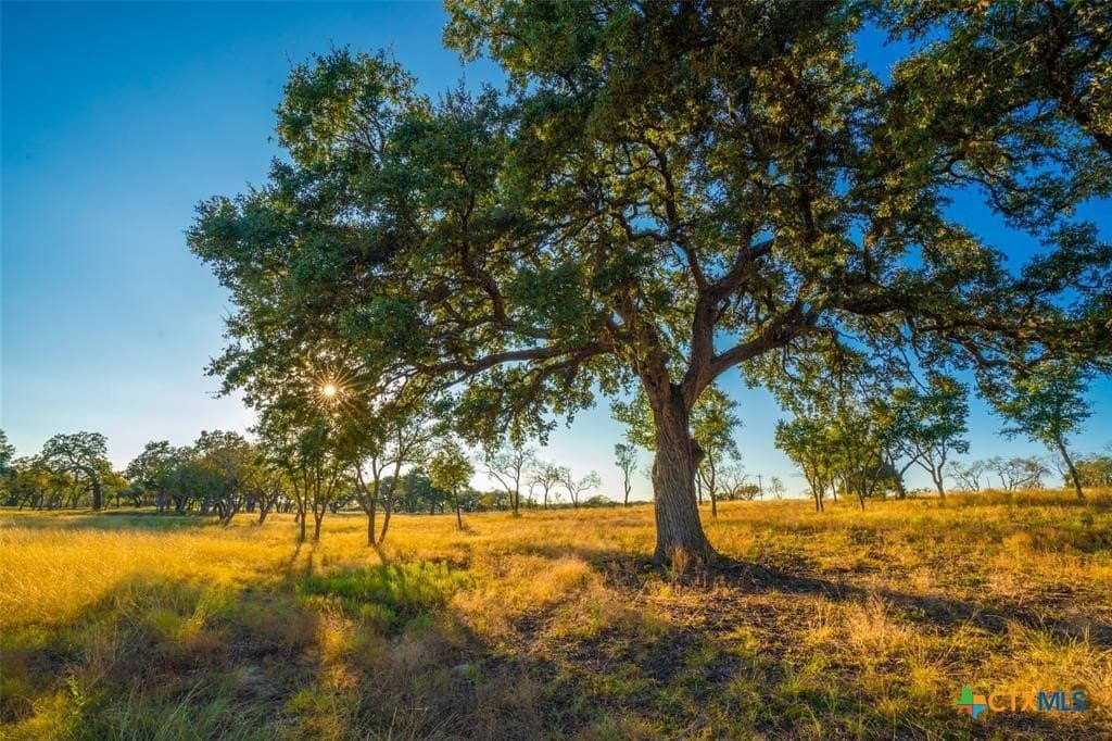 10.83 acres in Blanco County - photo 12