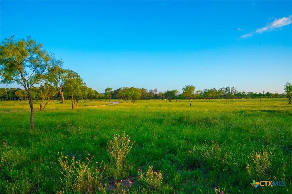 10.83 acres in Blanco County - photo 11