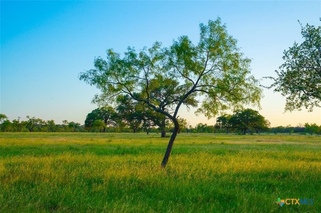 10.83 acres in Blanco County - photo 10