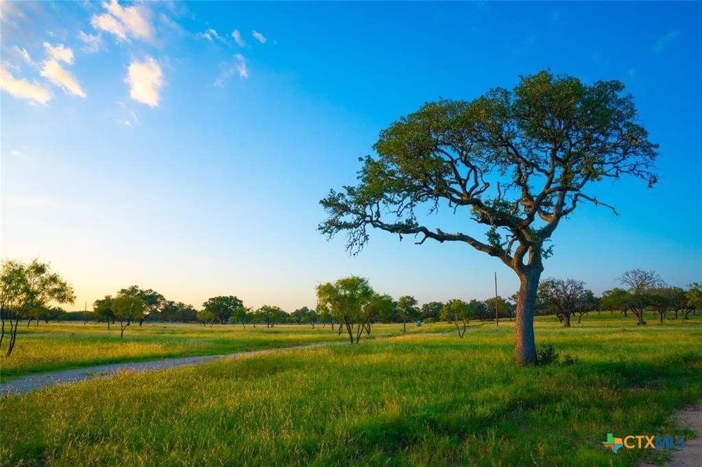 10.83 acres in Blanco County - photo 9