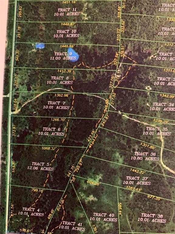 10.01 acres in Clay County - photo 6