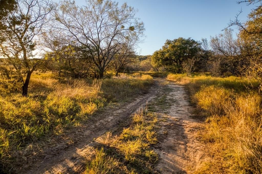 131 acres in Palo Pinto County - photo 21