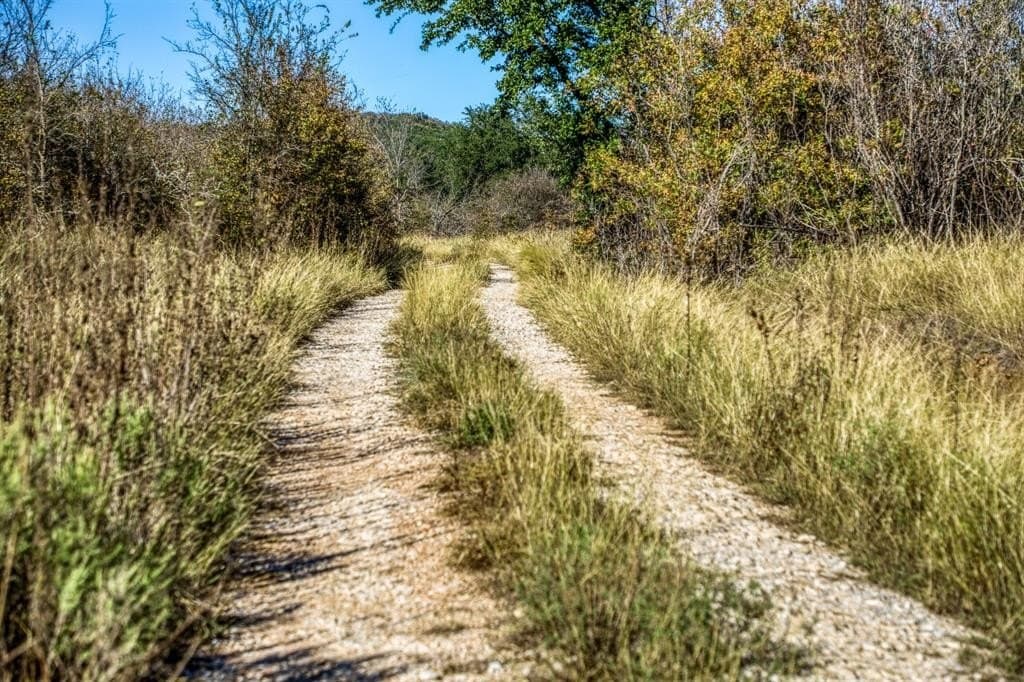 131 acres in Palo Pinto County - photo 5