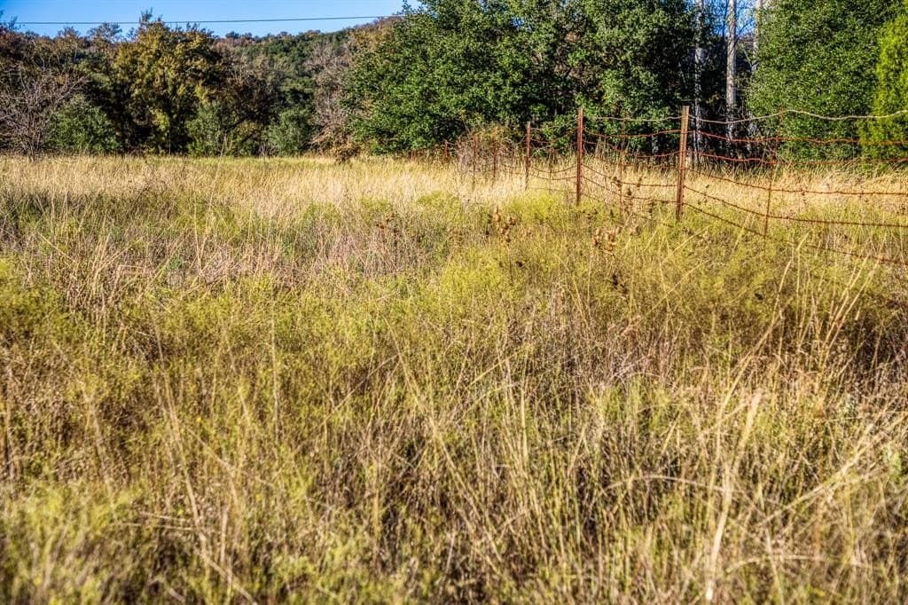 131 acres in Palo Pinto County - photo 19