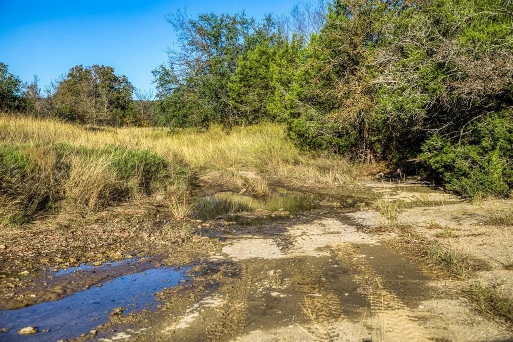131 acres in Palo Pinto County - photo 20