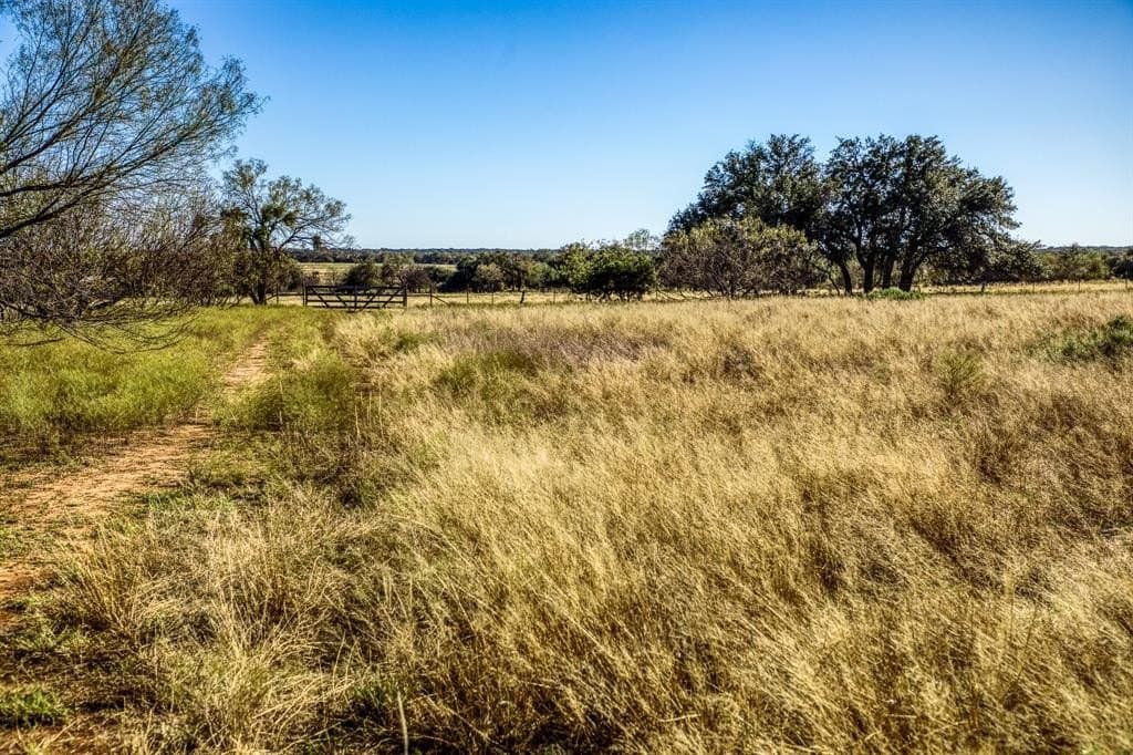131 acres in Palo Pinto County - photo 11