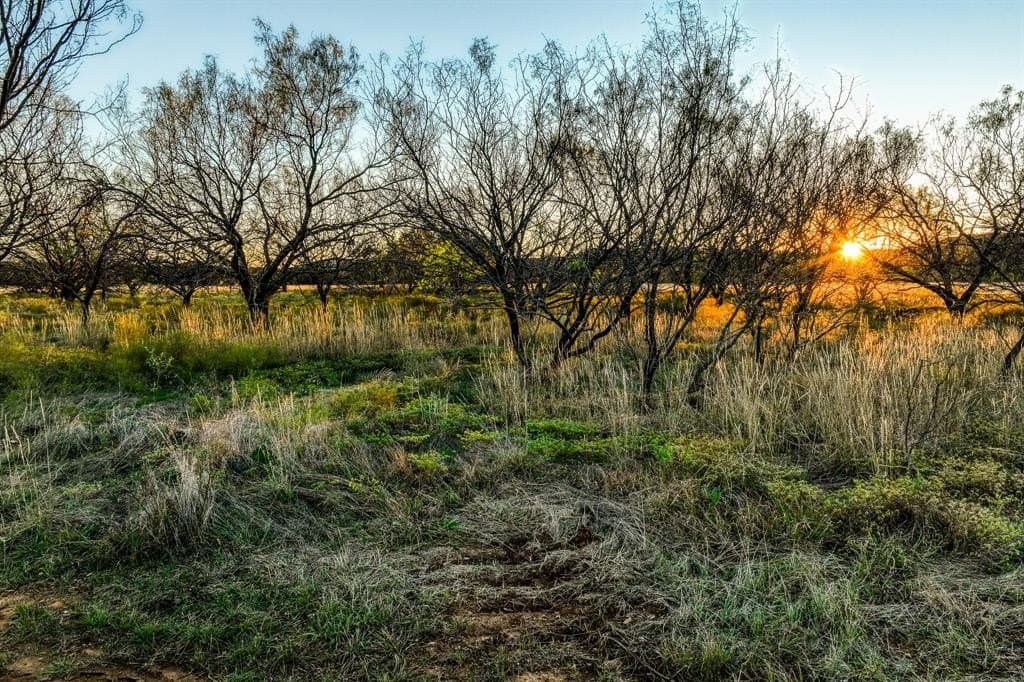 131 acres in Palo Pinto County - photo 39