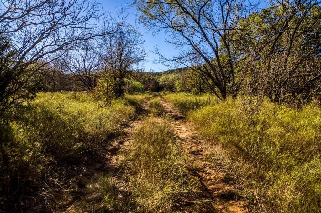 131 acres in Palo Pinto County - photo 14