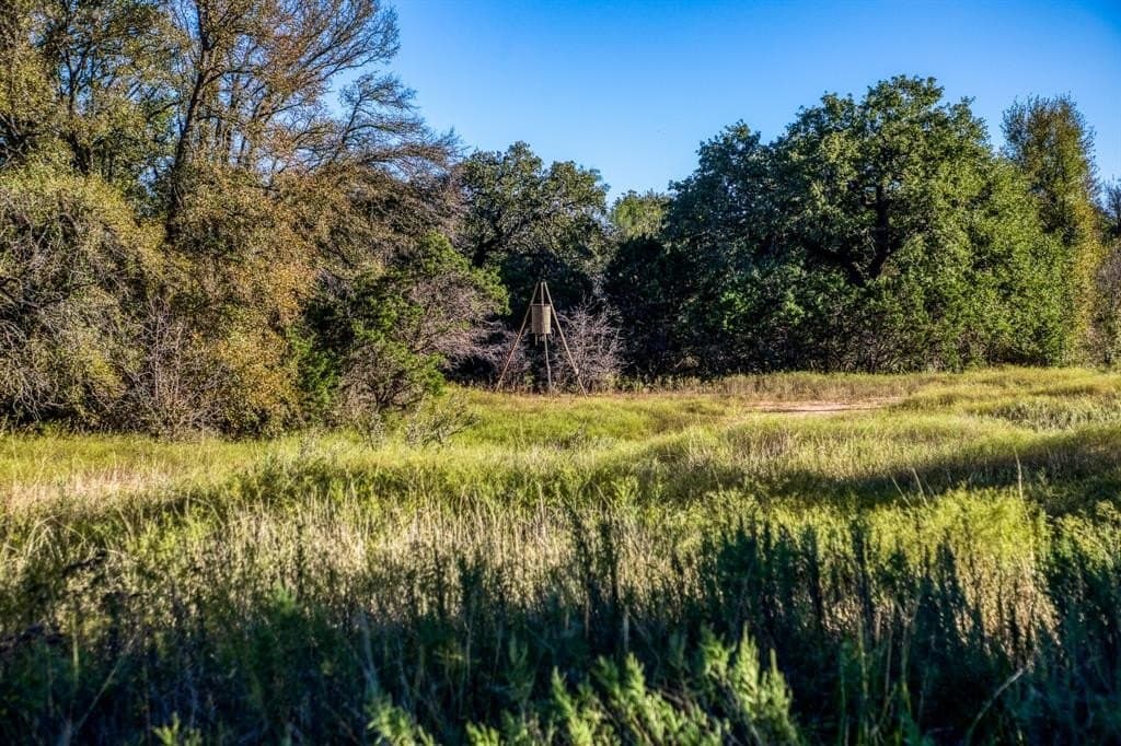 131 acres in Palo Pinto County - photo 16