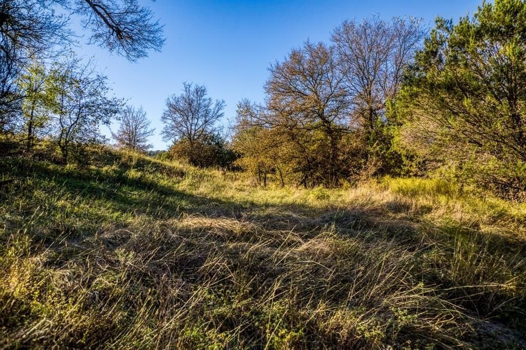 131 acres in Palo Pinto County - photo 24