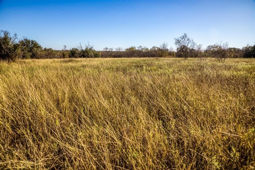 131 acres in Palo Pinto County - photo 18