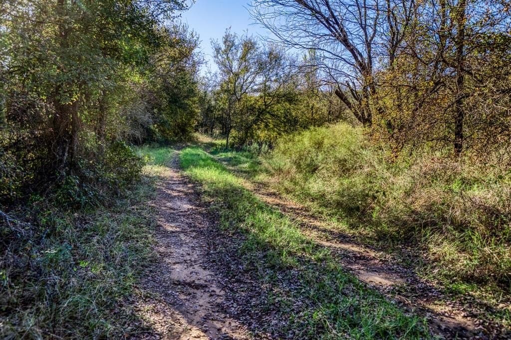 131 acres in Palo Pinto County - photo 12