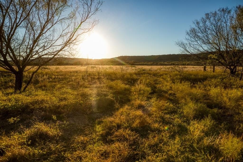 131 acres in Palo Pinto County - photo 26