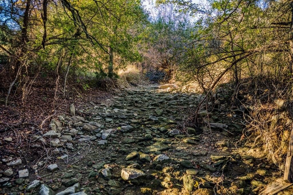 131 acres in Palo Pinto County - photo 4