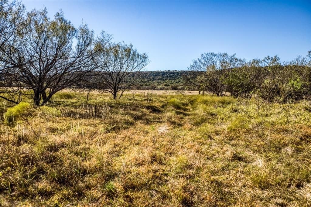 131 acres in Palo Pinto County - photo 8