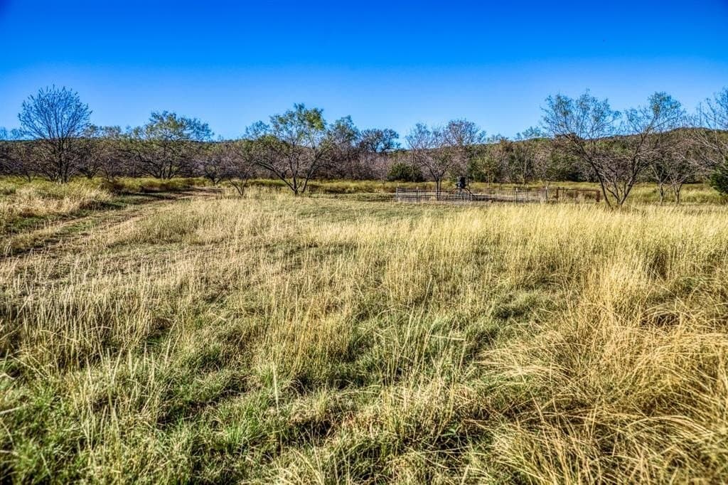 131 acres in Palo Pinto County - photo 9