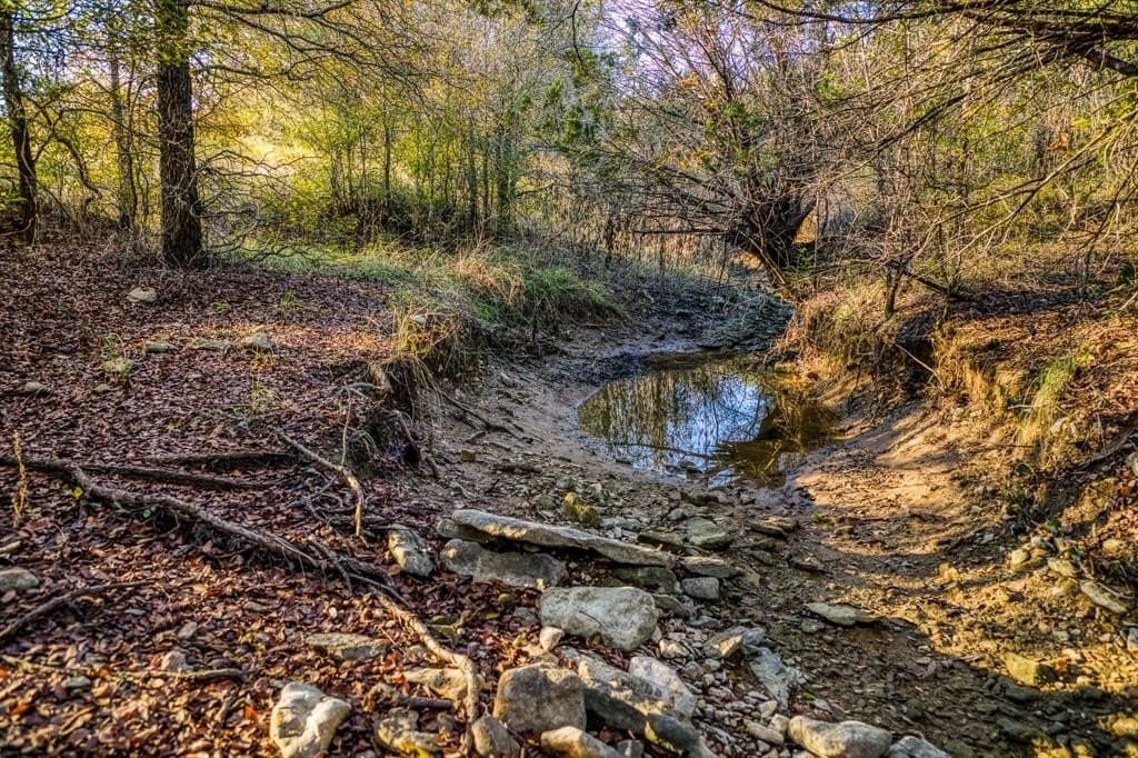 131 acres in Palo Pinto County - photo 22