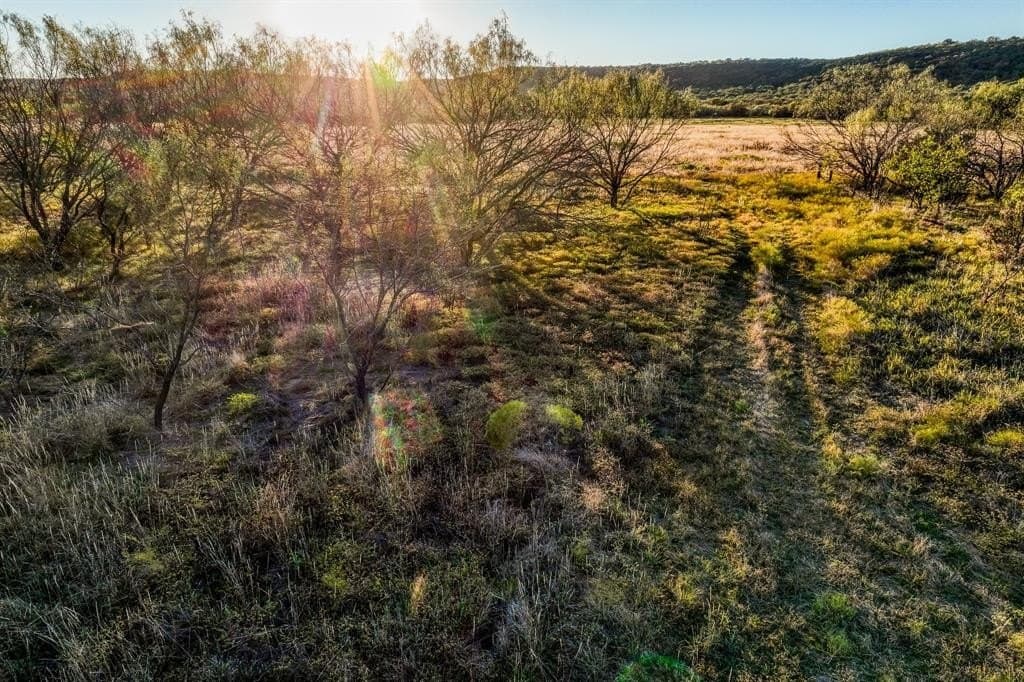 131 acres in Palo Pinto County - photo 35