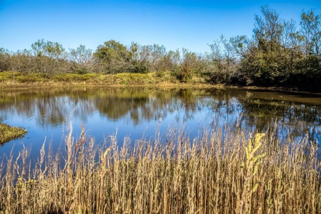 131 acres in Palo Pinto County - photo 3