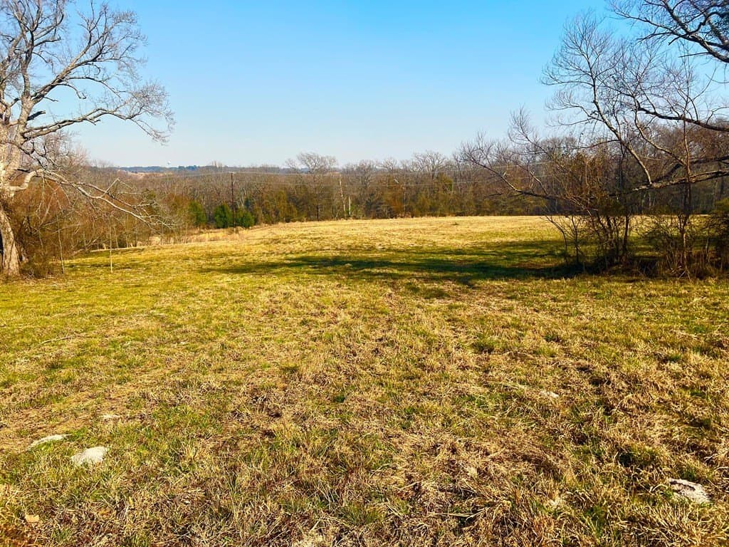 1.01 acres in Henderson County - photo 3