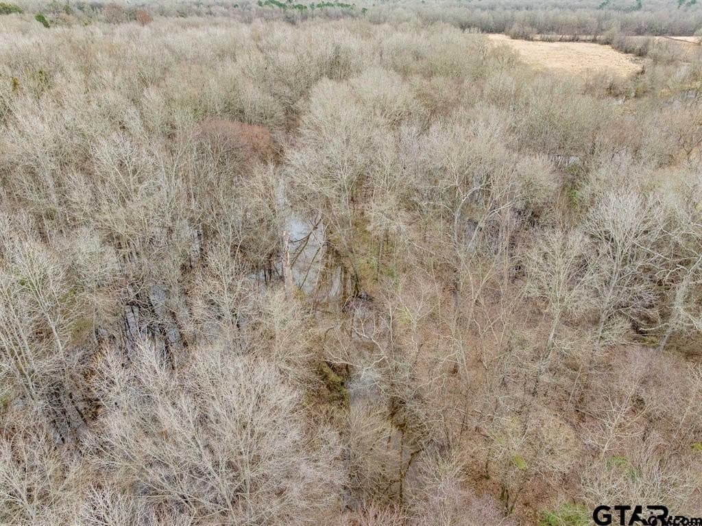 8.1 acres in Camp County - photo 6