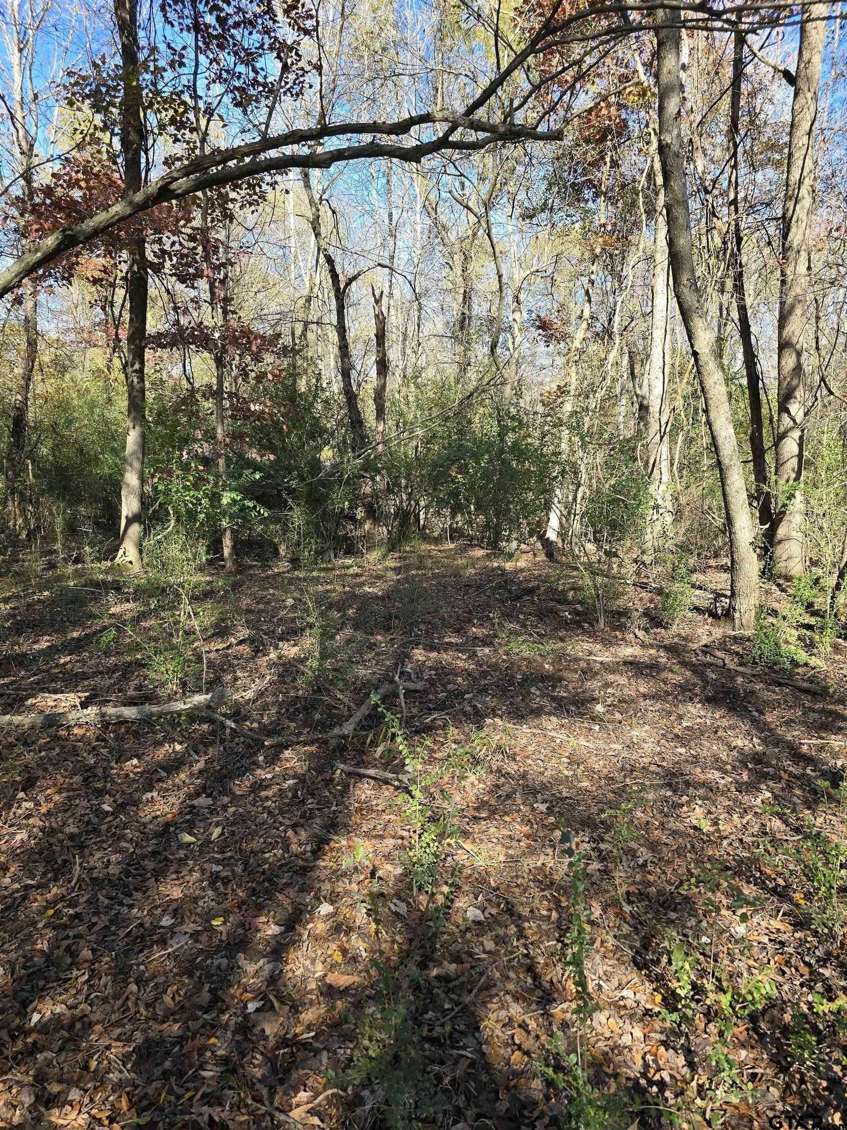 8.1 acres in Camp County - photo 7