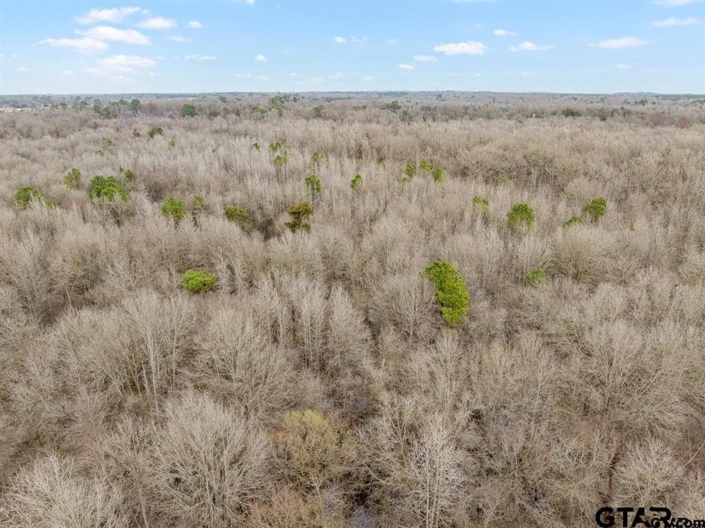 8.1 acres in Camp County - photo 10