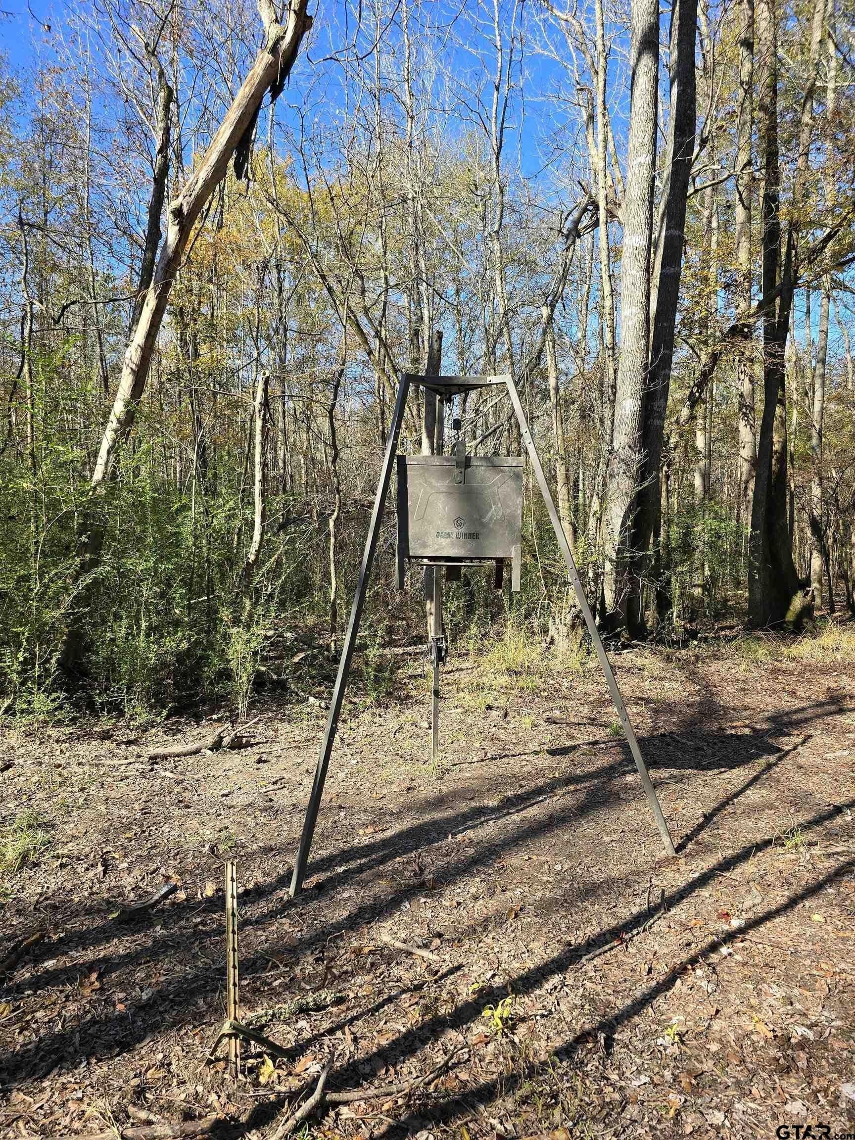 8.1 acres in Camp County - photo 3