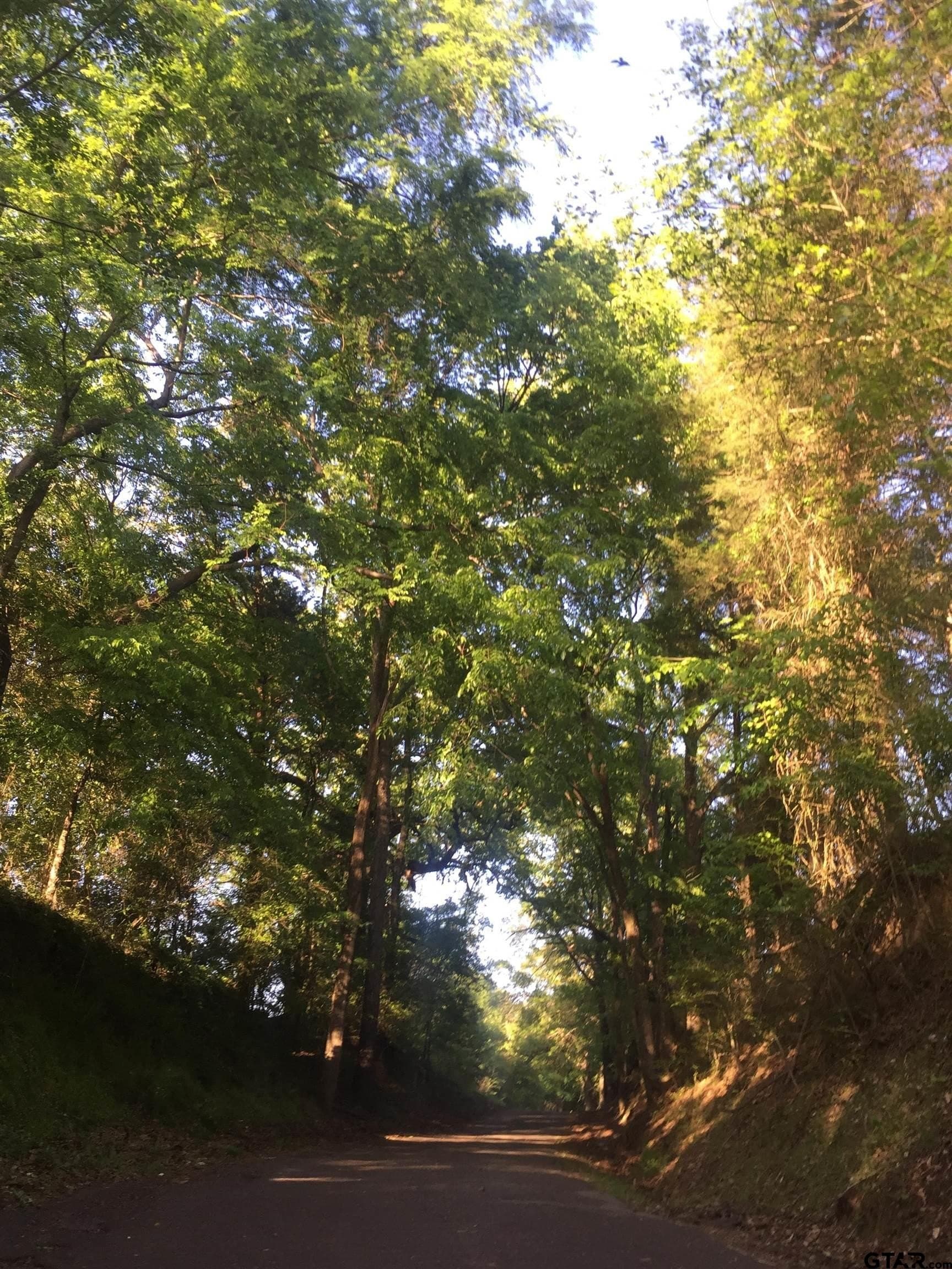 8.1 acres in Camp County - photo 9