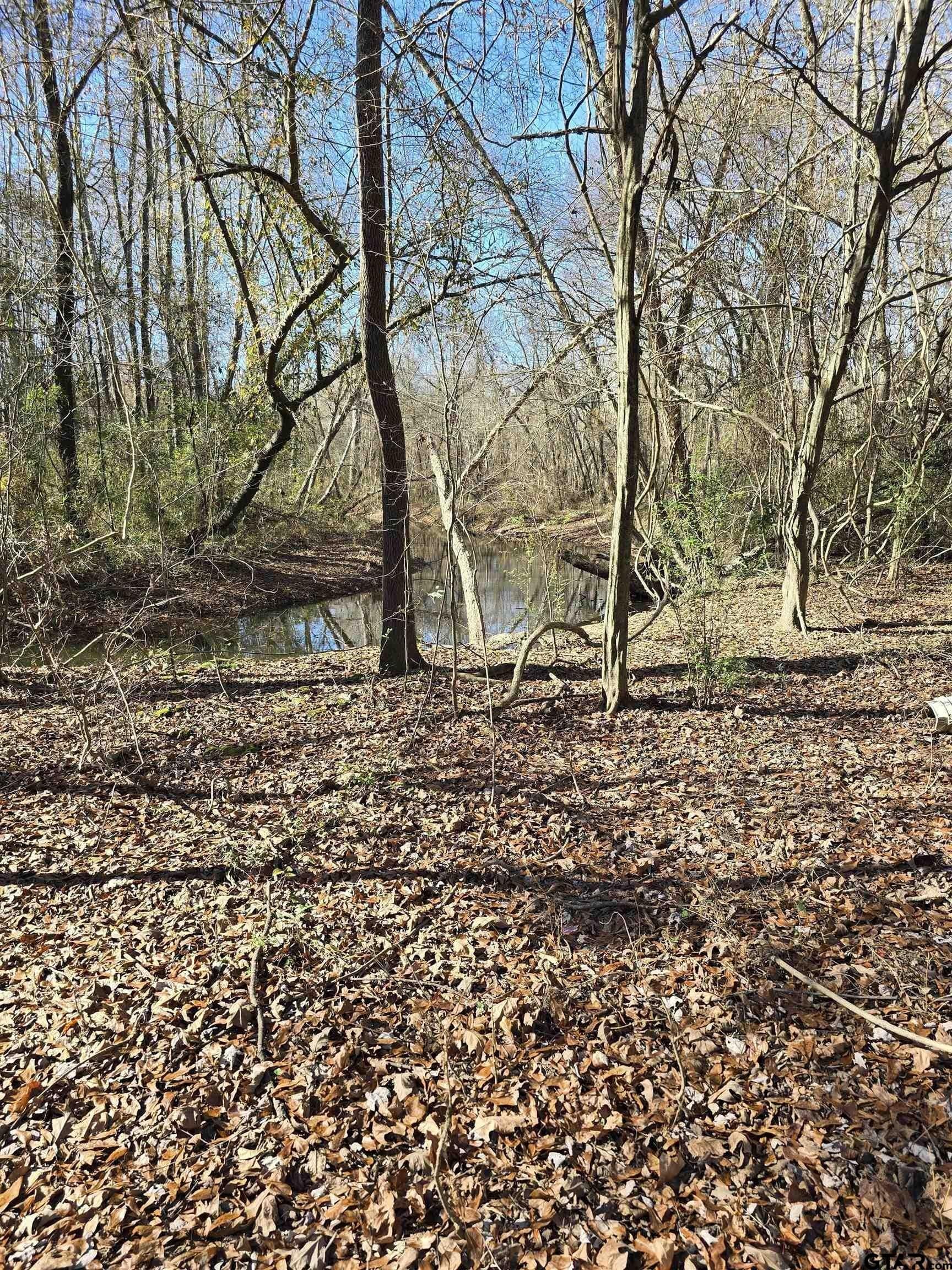 8.1 acres in Camp County - photo 4