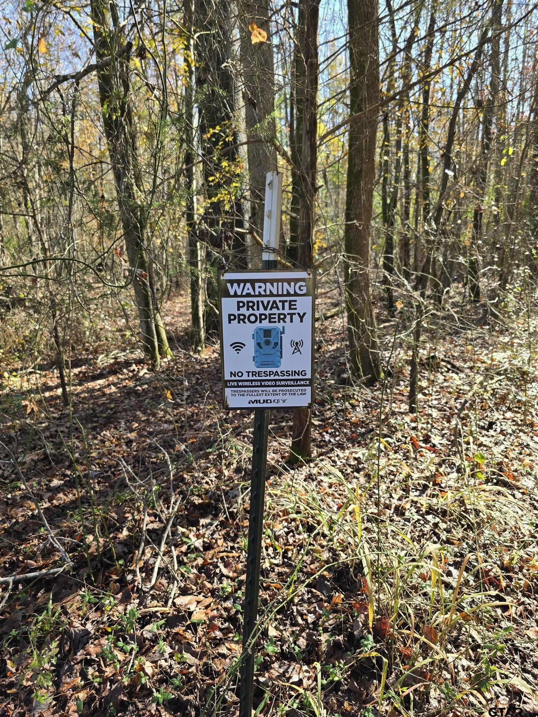 8.1 acres in Camp County - photo 2
