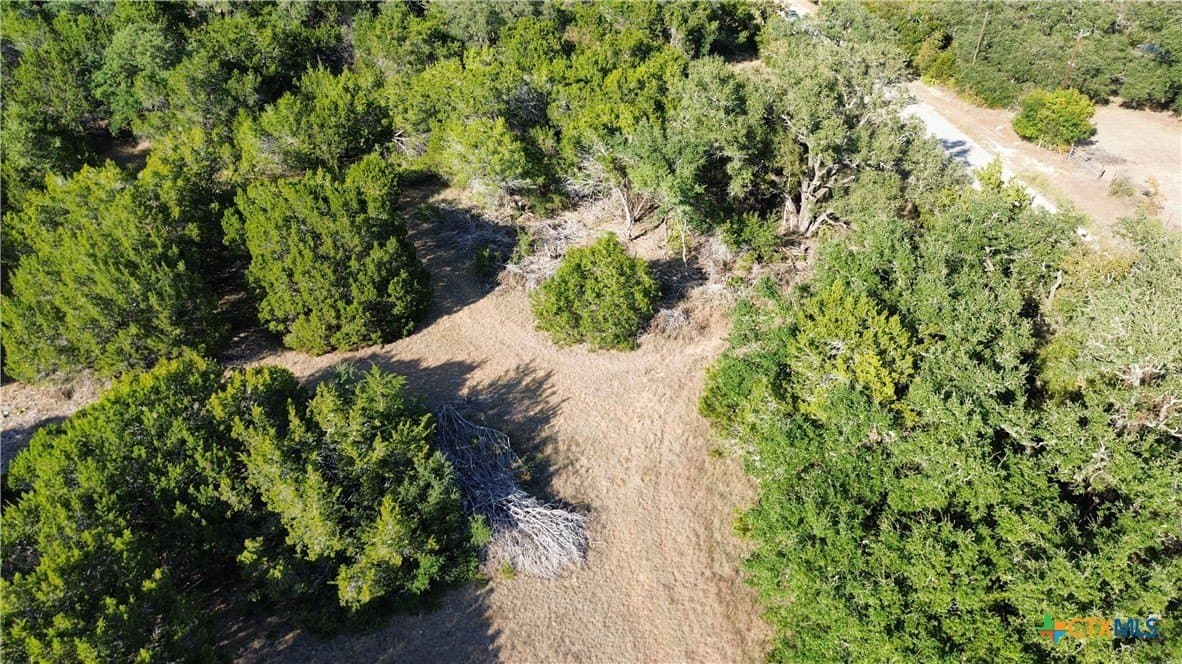 3.45 acres in Bell County - photo 4
