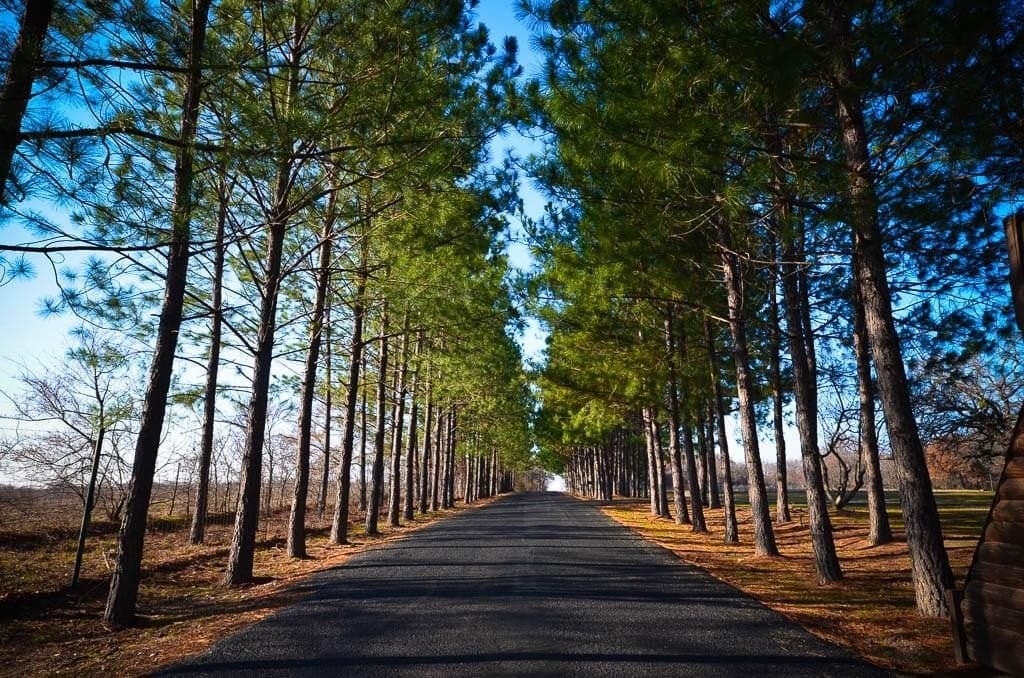 0.89 acres in Freestone County - photo 31