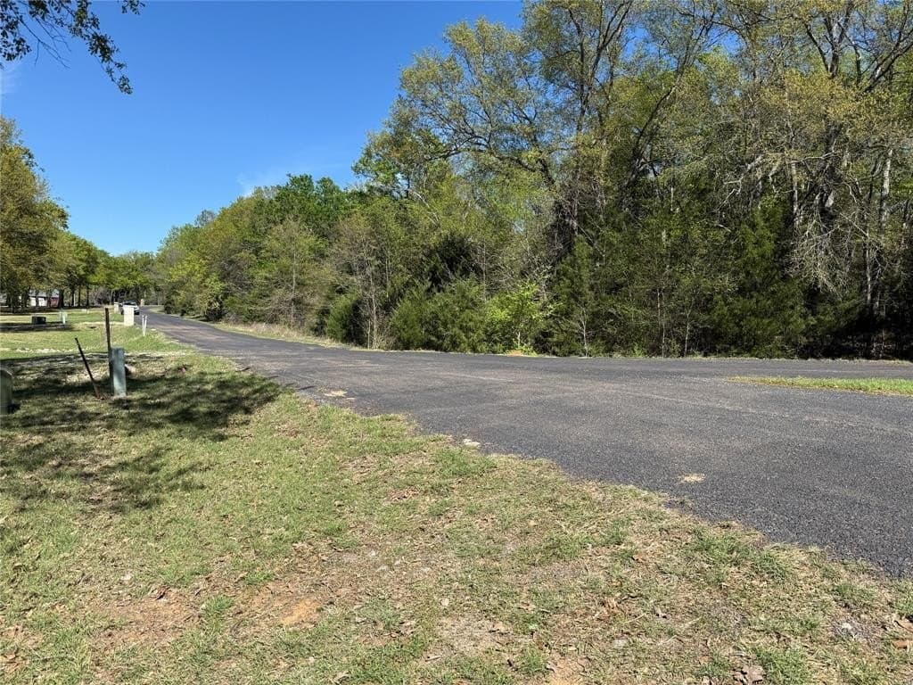 0.89 acres in Freestone County - photo 12