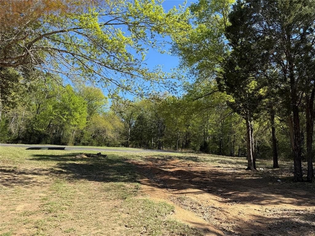 0.89 acres in Freestone County - photo 24