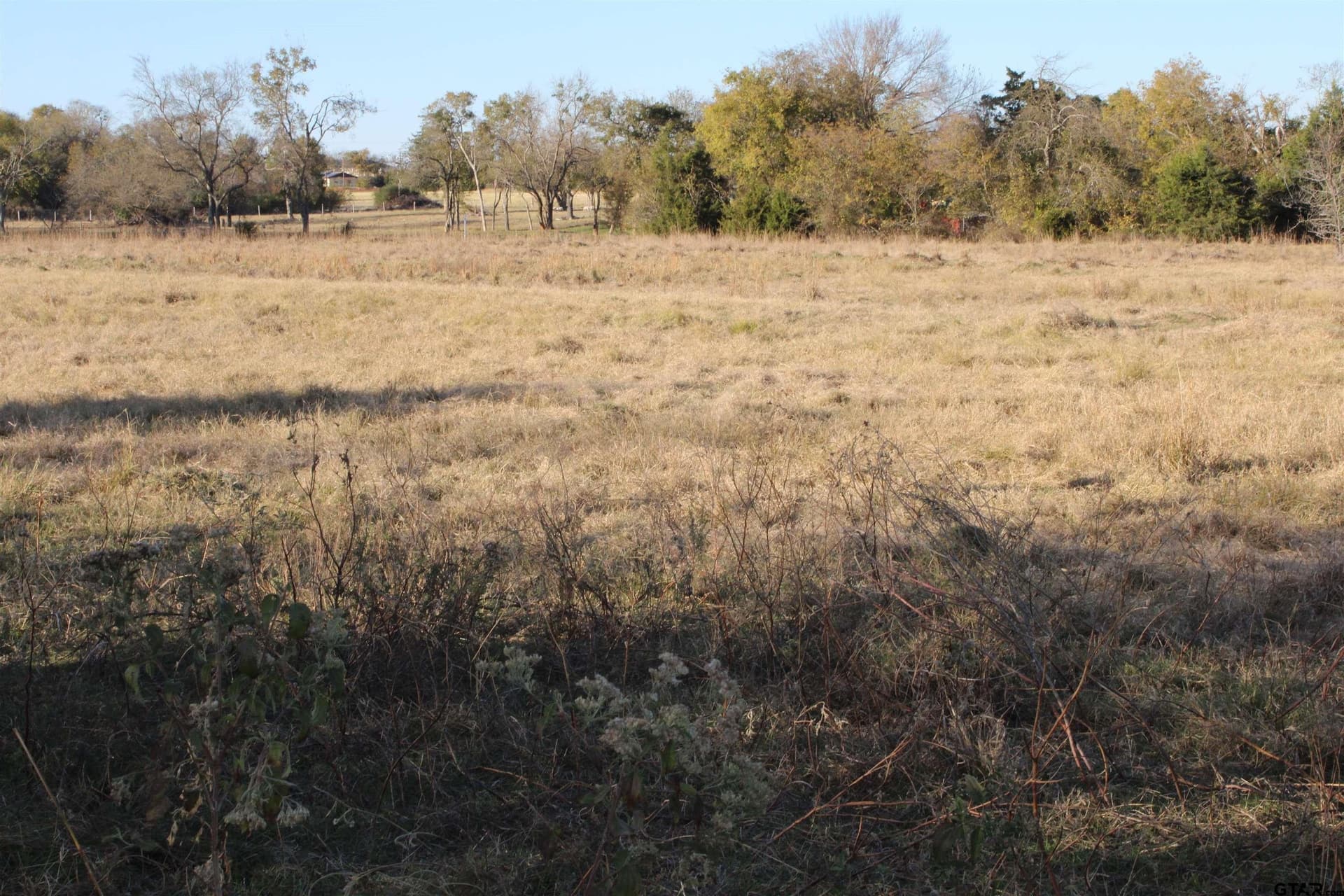 27.8 acres in Van Zandt County - photo 4