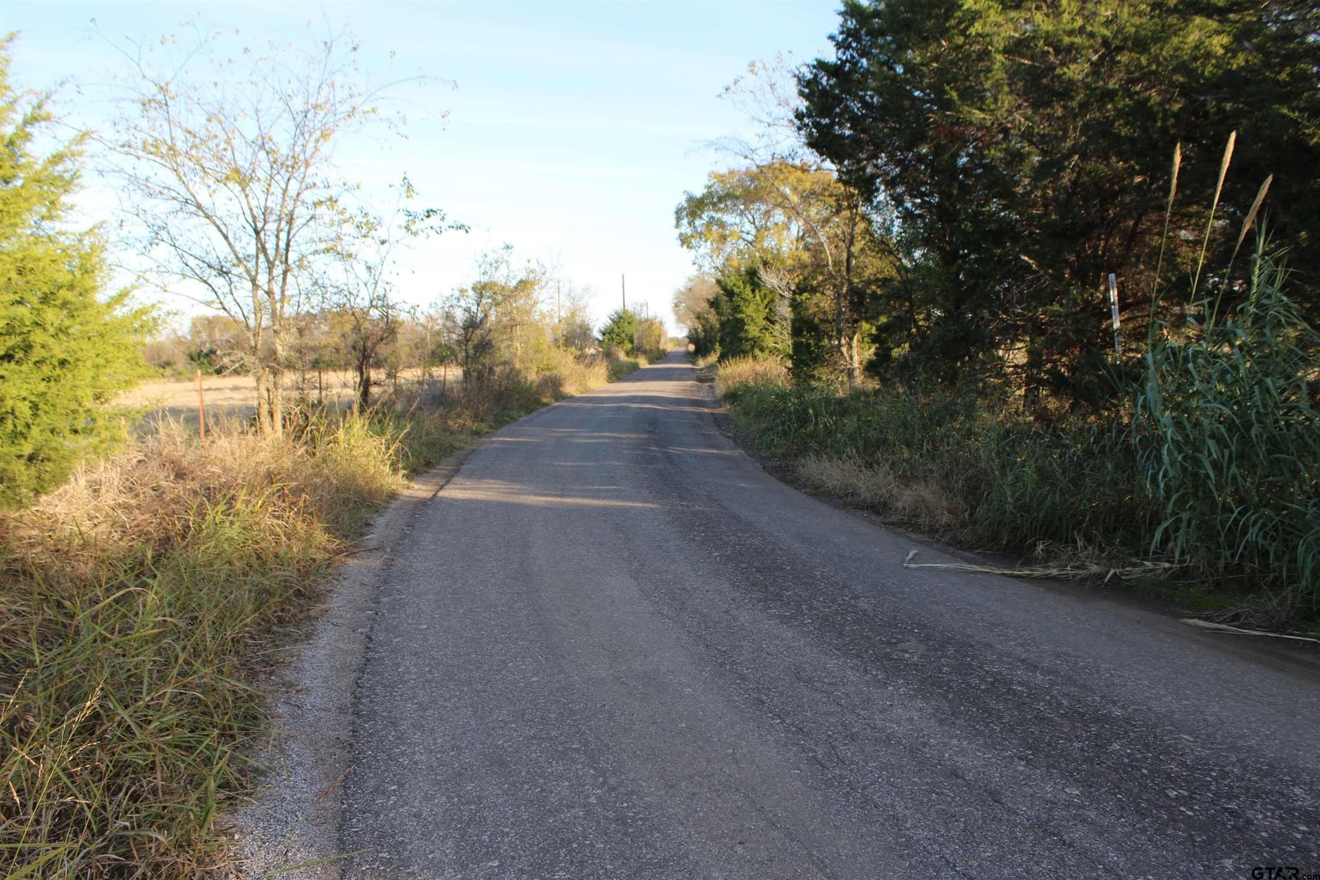 27.8 acres in Van Zandt County - photo 5