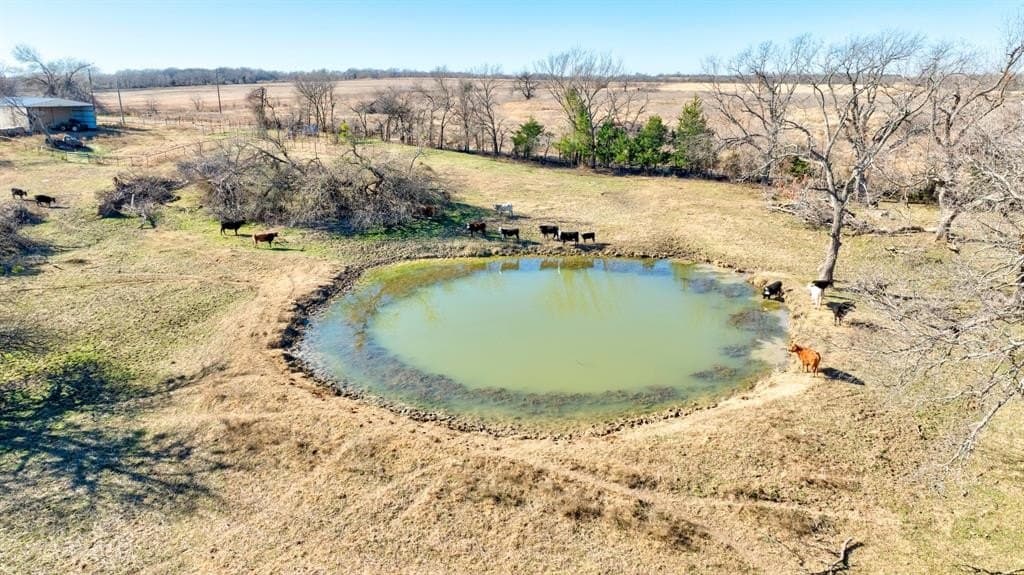 49 acres in Grayson County - photo 4