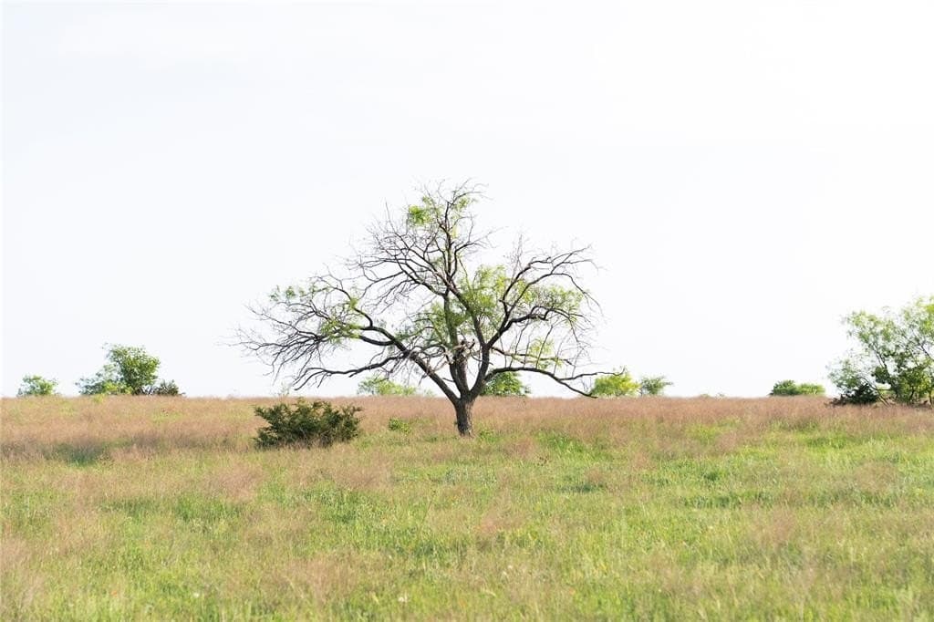 37 acres in McLennan County - photo 6