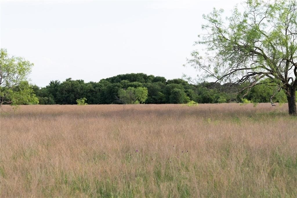 37 acres in McLennan County - photo 17
