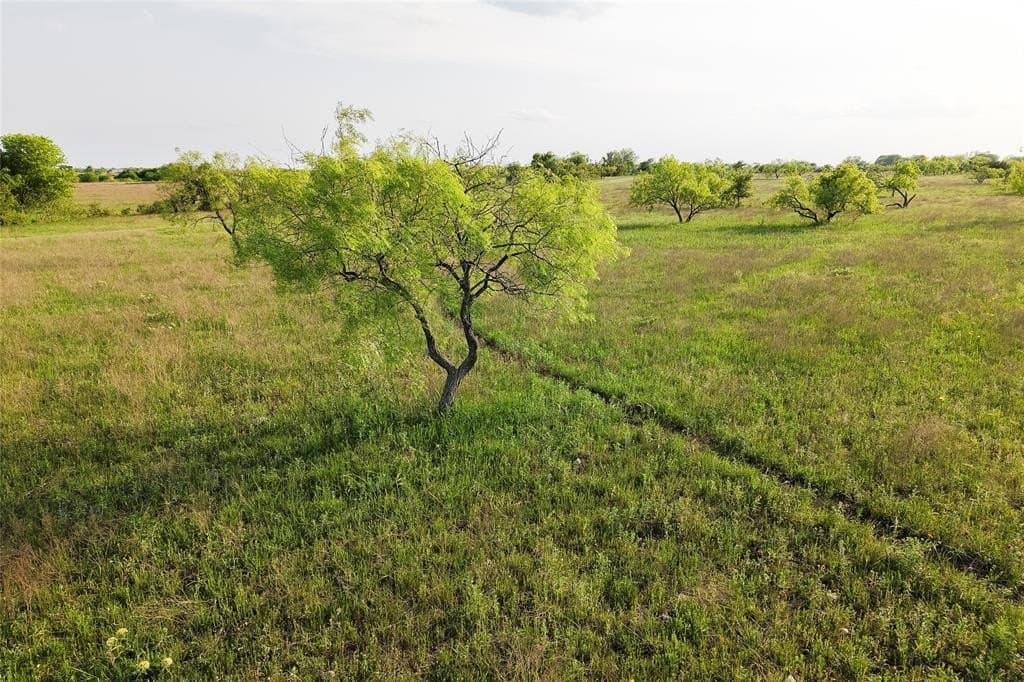 37 acres in McLennan County - photo 11