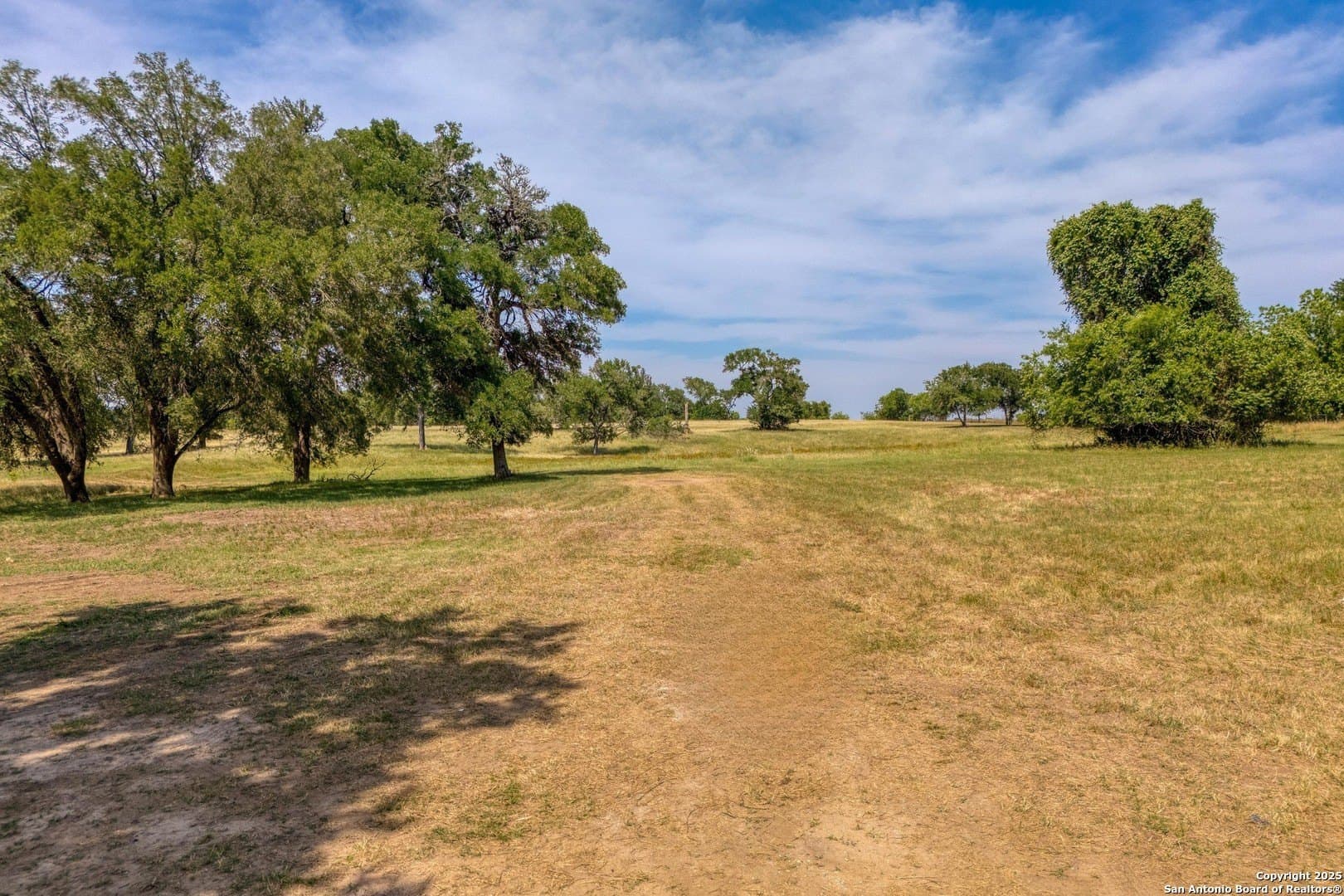 20.02 acres in Bastrop County - photo 9