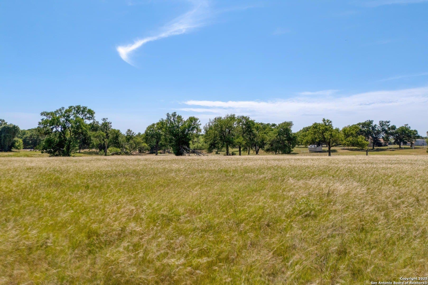 20.02 acres in Bastrop County - photo 16