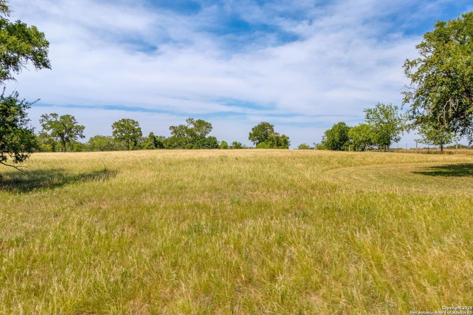 20.02 acres in Bastrop County - photo 17