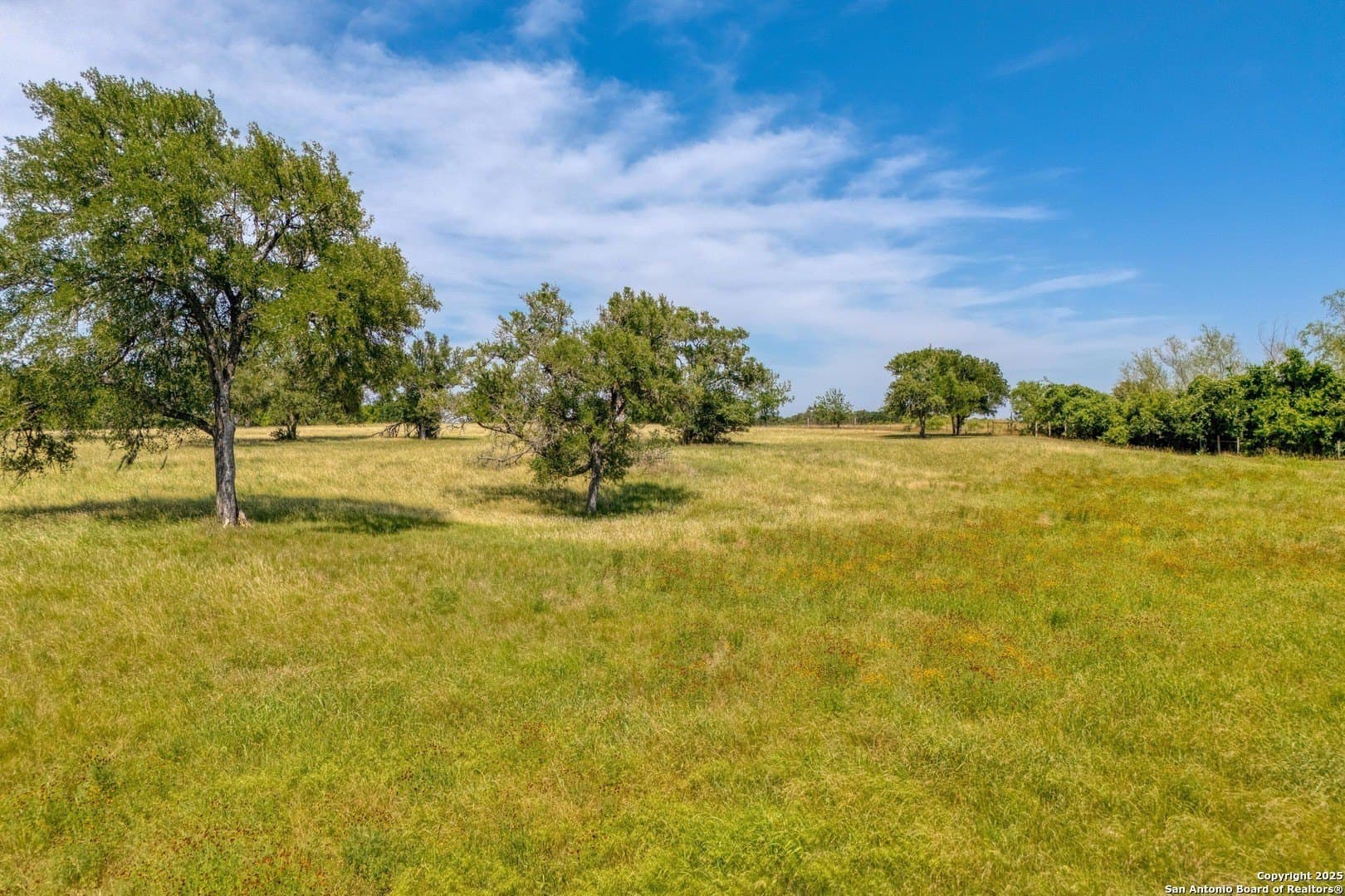 20.02 acres in Bastrop County - photo 12