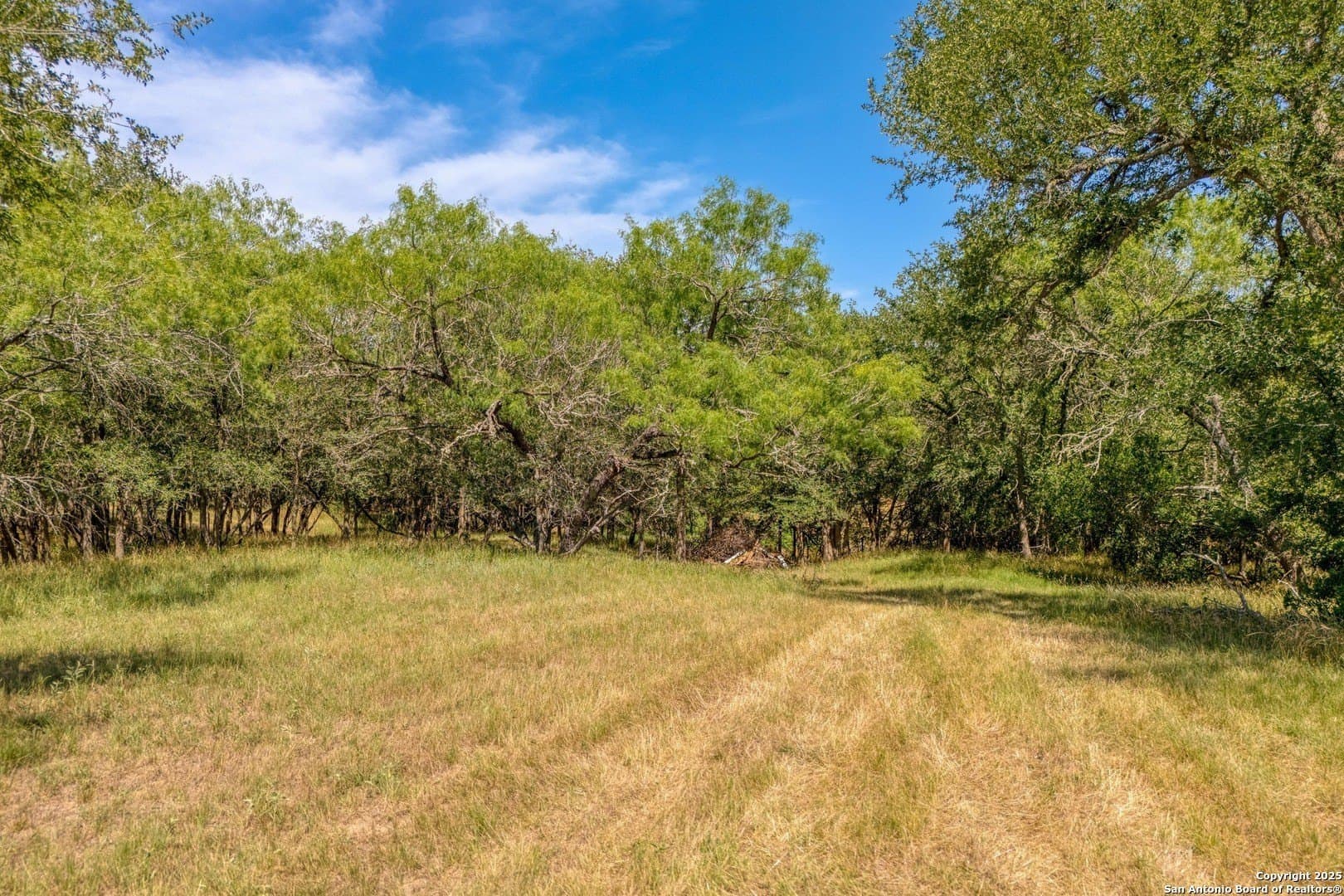 20.02 acres in Bastrop County - photo 14