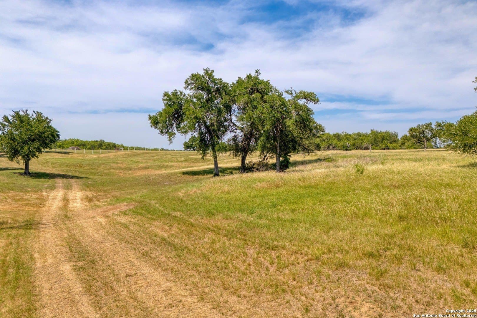 20.02 acres in Bastrop County - photo 13