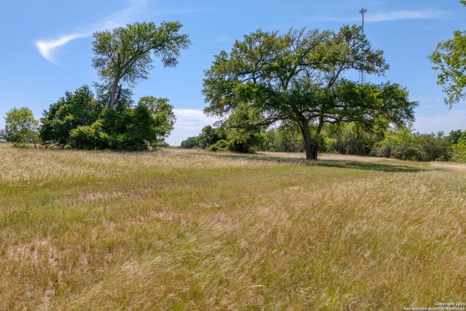 20.02 acres in Bastrop County - photo 15